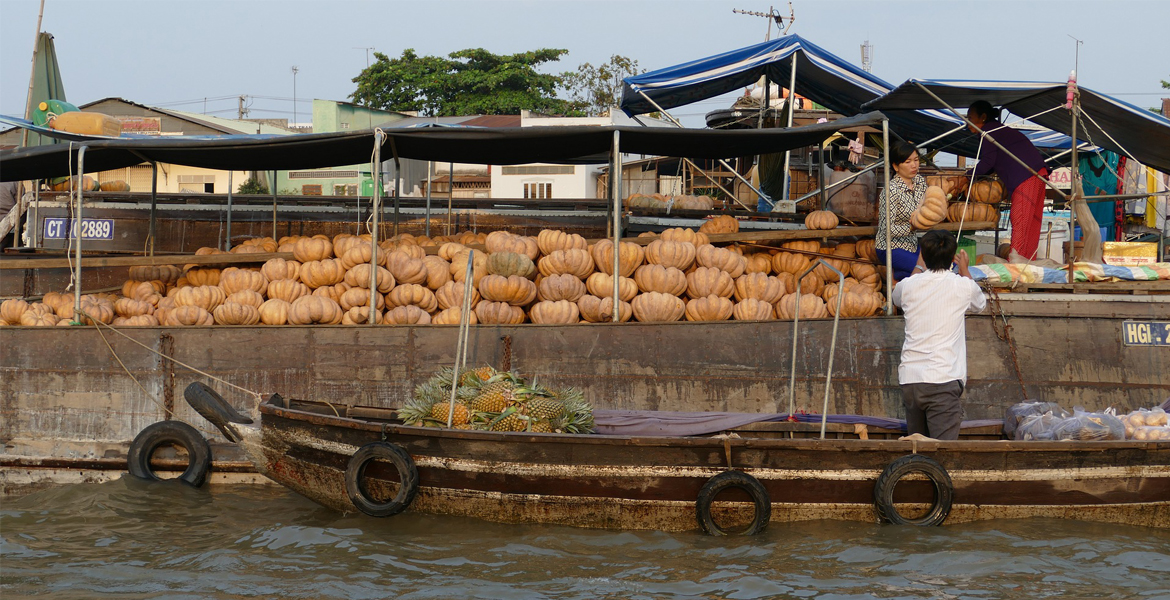 Mekong Delta Day Trip